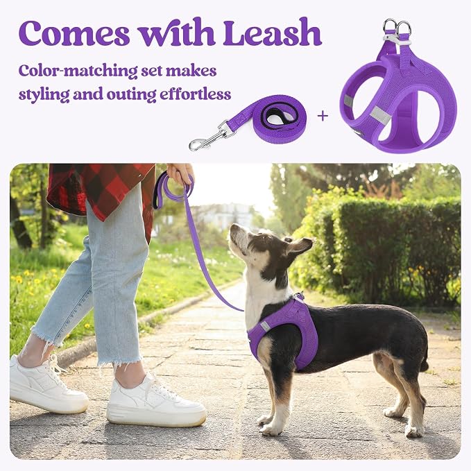 rabbitgoo Dog Harness Medium Sized and Leash Set, Step-in Puppy Pet Vest | Light, Soft, Breathable Air Mesh, Easy on and Remove with Hook & Loop, Secure Reflective for Walking, Purple L - Image 5