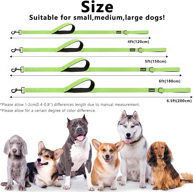Dog Leash 6ft Long,Double Handle Dog Leash for Control Training | Heavy Duty Dog Leads with Traffic Padded Handles, Reflective Leashes for Small Medium Large Dogs(6ft, Green) - Image 5