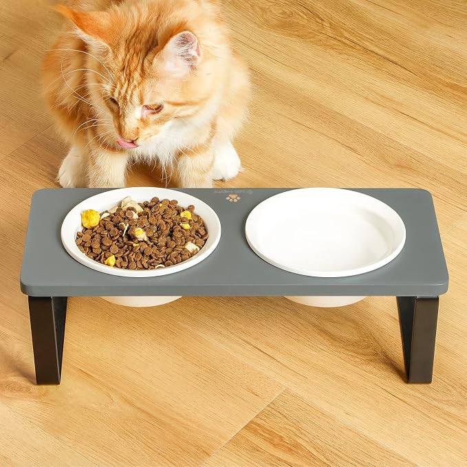 Sunhoo Ceramic Elevated Cat Bowls Raised Puppy Dishes for Food and Water Tilted Wooden Stand for Indoor Cats 5.5 inch Wide Double Dish Orthopedic Reduces Vomiting (Grey) - Image 6