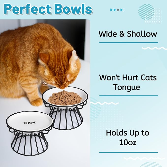 Cat Bowls, Elevated Cat Bowl, Raised Ceramic Dish with Metal Stand, Pet Water or Food Feeding Station for Indoor Cats, Kitten, Puppies and Small Dogs, Dishwasher Safe (Raised Cat Bowl(2 pack)) - Image 4