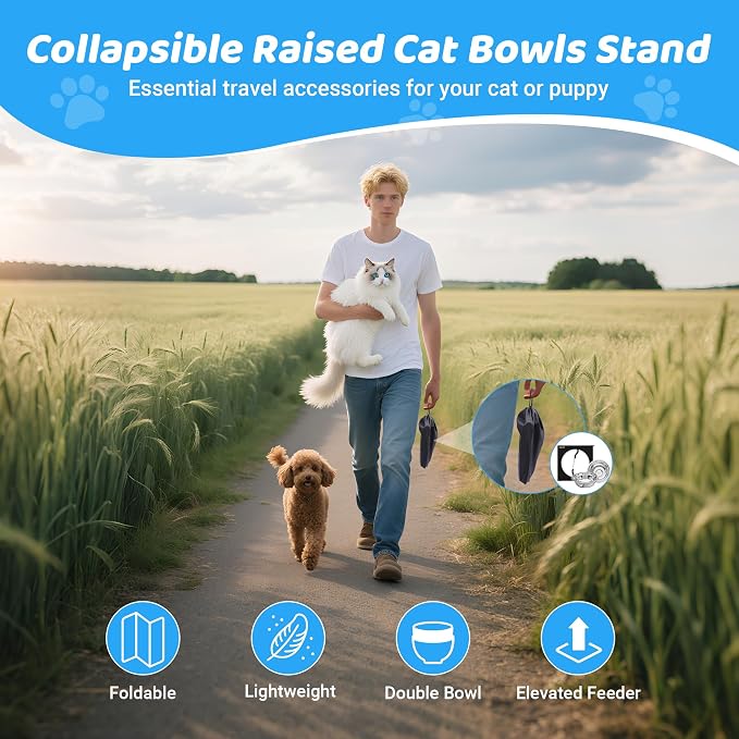 Upgraded Elevated Cat Bowls,10°Tilted Foldable Stand Anti Vomiting Raised Cat Dishes for Food and Water,2 Stainless Steel Bowls for Cats and Puppy (2 Pack) - Image 5