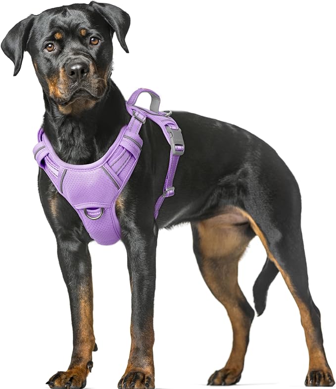 BARKBAY No Pull Dog Harness Large Reflective Dog Harness with Front Clip and Easy Control Handle for Walking Training Running with ID tag Pocket(Violet Purple,XL) by BARKBAY