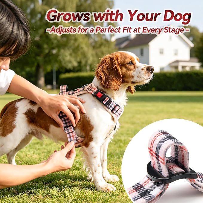 PoyPet Plaid Dog Harness Small, No Pull Vest with Front Clip & Neck Buckle | Padded Handle, Reflective, No Choke, Lockable, 2 Leash Rings, Full Adjustable, for Training Walking, S, Checkered Beige - Image 5
