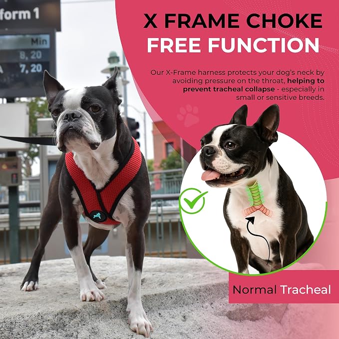 Gooby Comfort X Head-in Dog Harness, Choke-Free, Red, Large | Patented choke-free X-frame; Secure head-in fit; Lightweight breathable mesh; Back metal D-ring; Machine washable - Image 6