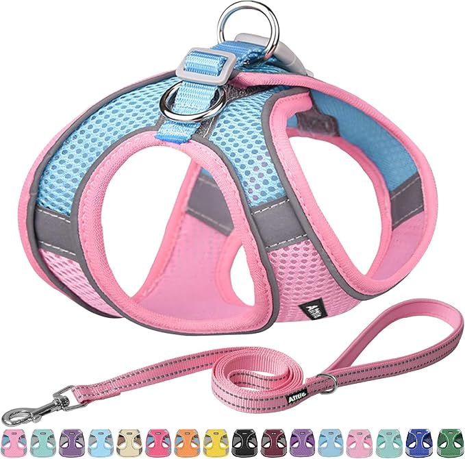 AIITLE Medium Dog Harness and Leash Set, Step-in Puppy Pet Vest, Pink L | Light, Soft, Breathable Air Mesh, Escape-Proof, Easy on and Remove with Hook & Loop, Secure Reflective for Walking by AIITLE-FORPETSBETTERLIFE