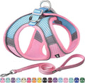 AIITLE Medium Dog Harness and Leash Set, Step-in Puppy Pet Vest, Pink L | Light, Soft, Breathable Air Mesh, Escape-Proof, Easy on and Remove with Hook & Loop, Secure Reflective for Walking by AIITLE-FORPETSBETTERLIFE