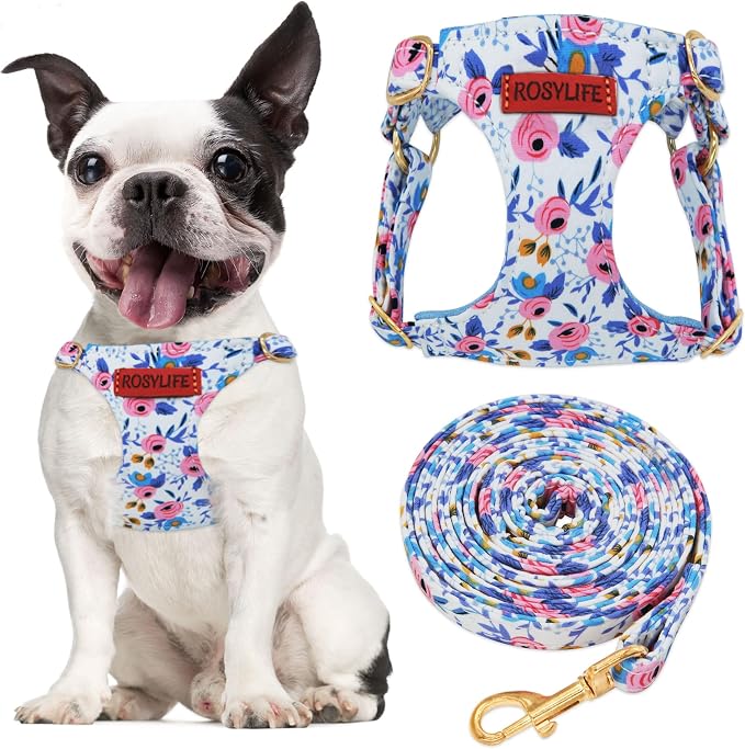 No Pull Dog Harness Adjustable Small Dog Harness and Leash Set, Lightweight and Soft Dog Harness No Choke Escape Proof Pet Harness Vest (Blue Rose, S) by RosyLife