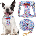 No Pull Dog Harness Adjustable Small Dog Harness and Leash Set, Lightweight and Soft Dog Harness No Choke Escape Proof Pet Harness Vest (Blue Rose, S) by RosyLife