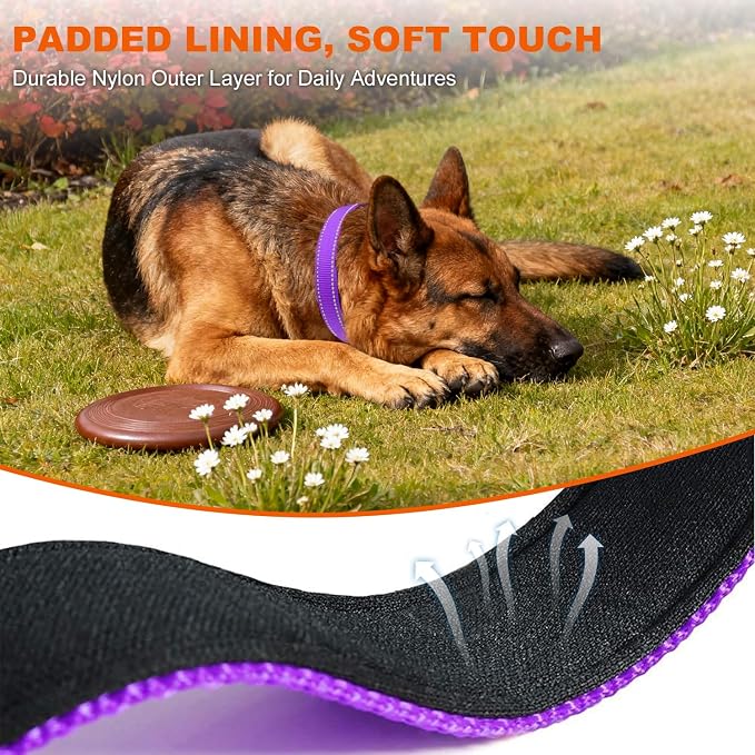 Taglory Reflective Dog Collar for Large Dogs, Soft Neoprene Padded with Escape-Proof Locking Buckle, Upgraded Zinc Alloy Ring, Adjustable for Pitbull Labrador Retriever, Purple,L - Image 4