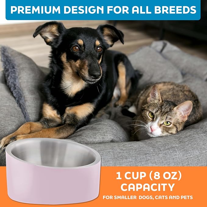 Master Pet Supply Stainless Steel Slanted Dog Cat Food Bowl 8 oz Rose | Heavy Duty Double Wall Insulated Non-Slip Elevated Bowl for French Bulldogs Pugs Cats Anti Rust Dishwasher Safe, Rose Quartz - Image 7
