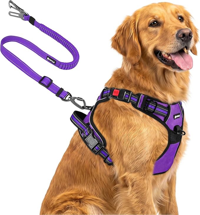 Joytale No Pull Dog Harness & Seat Belt, Easy On 3-Buckle, XL, Purple | Front Clip Reduces Pulling, Escape-Resistant Design, Adjustable Fit, Soft Padding for Comfort, Secure Tether for Safer Travel by Joytale