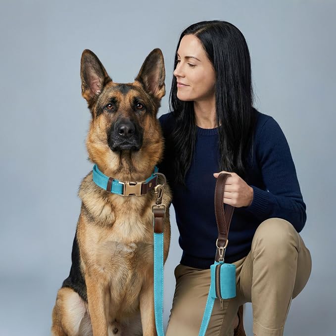 PU Leather Dog Leash for Large Dogs, 6ft Padded Handle, Light Blue | Comfortable Grip for Daily Walking Training, Full Control, Metal D-ring, Tangle-Free 360° Swivel Clasp, Easy to Clean, 1 inch - Image 2