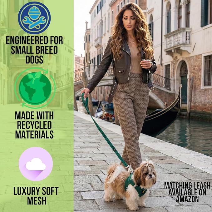 EcoBark Extra Small Dog Harness, Step in Vest, Forest Green, XS Dogs | Luxury Soft Harness for Puppies, Mini Body Halter Under 6 Lbs, No Choke Breathable Mesh, Adjustable Reflective Strap - Image 2