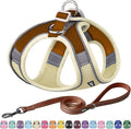 AIITLE Small Dog Harness and Leash Set, Step-in Puppy Pet Vest, Beige S | Light, Soft, Breathable Air Mesh, Escape-Proof, Easy on and Remove with Hook & Loop, Secure Reflective for Walking by AIITLE-FORPETSBETTERLIFE