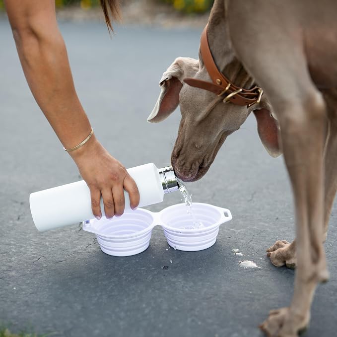 Pup Culture Dual Collapsible Dog Bowls | Silicone Travel Water Bowl for Dogs | Food Grade, No Plastic Rim, Portable Dog Bowl for Food and Water - Easy to Clean | BPA Free and Safe for Your Pup-Black - Image 8