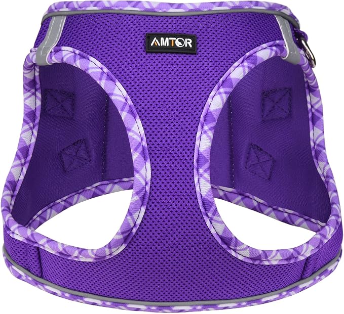 AMTOR Small Dog Harness with Leash Set, No Escape Easy Walk Puppy Harnesses for Training Walking, Step-in Reflective Soft Dogs Vest for XS S Medium Extra-Small Large Sized Dog(Purple,L) - Image 2