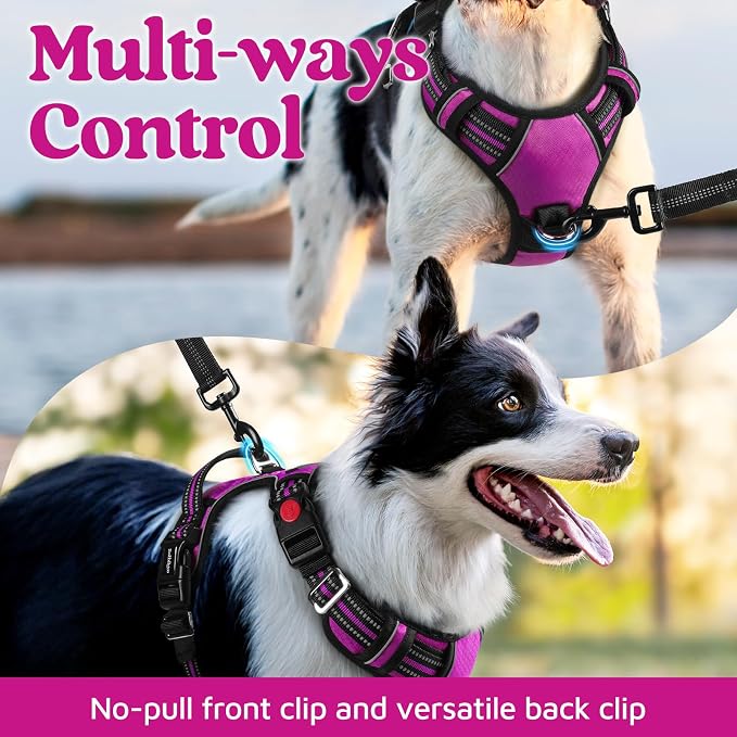 rabbitgoo Dog Harness Small Sized, No Pull 3 Buckles Easy On & Off | Soft Padded, Walking with Control Handle, Adjustable and Reflective, Purple, Small - Image 3