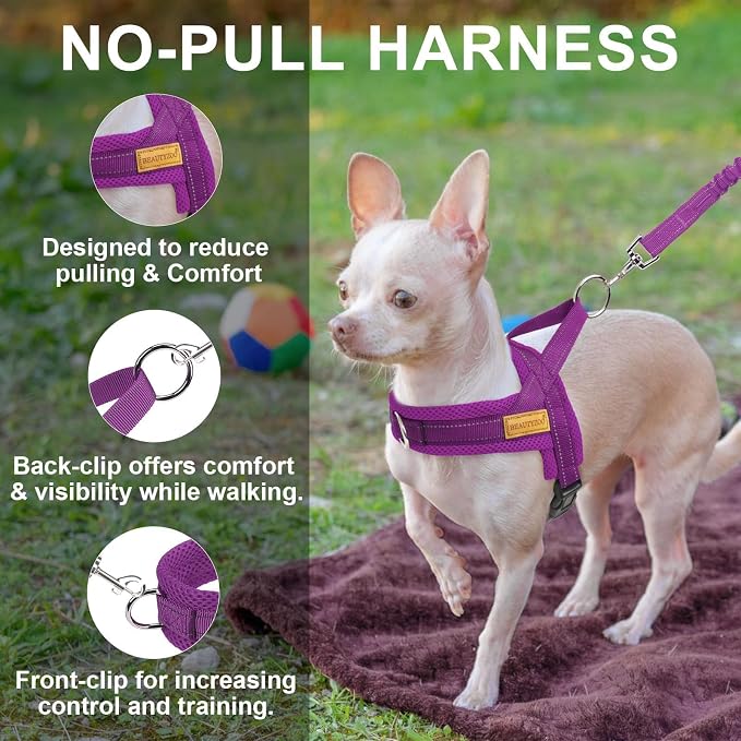 BEAUTYZOO Small Dog Harness and Leash Set, No Pull Step in Puppy Vest | Breathable Mesh with Handle, Reflective, Adjustable No Choke Escape Proof, Lightweight, Easy Control for Walking, Purple XS - Image 6