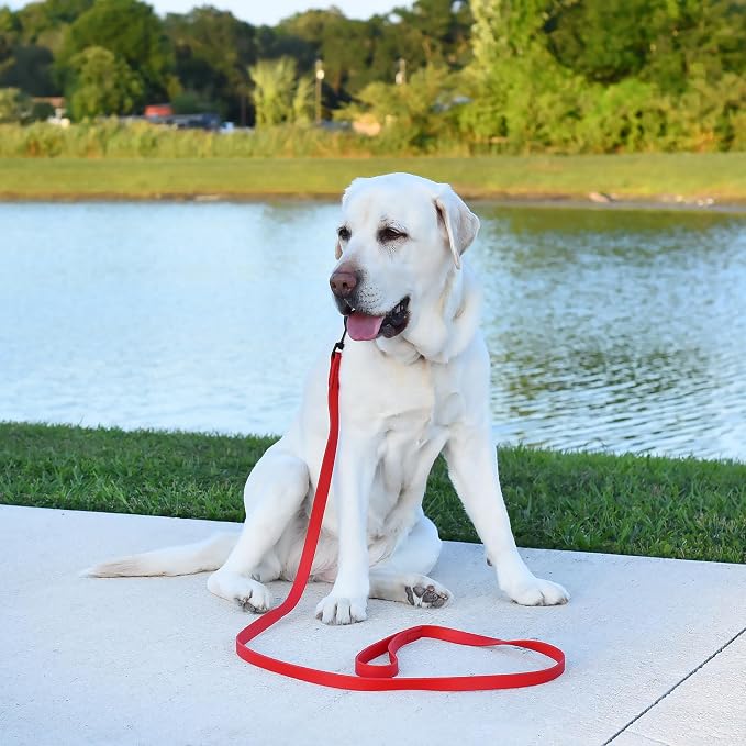 Dogline Biothane Waterproof Dog Leash Strong Coated Nylon Webbing with Black Hardware Odor-Proof Easy to Clean High Performance for Small or Large Dogs Made in USA 4 or 6 ft Lead, Cherry Red - Image 5