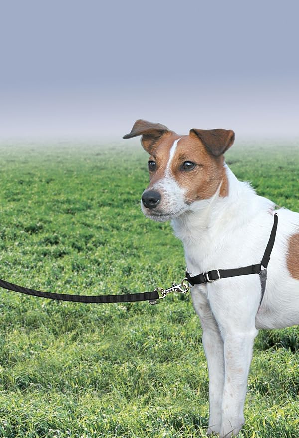 PetSafe Easy Walk Harness, No Pull Dog Harness, Black, Small | Patented Martingale Loop Gives Gradual Shoulder Pressure to Stop Pulling, Front-Chest Leash Clip Prevents Gagging - Image 2