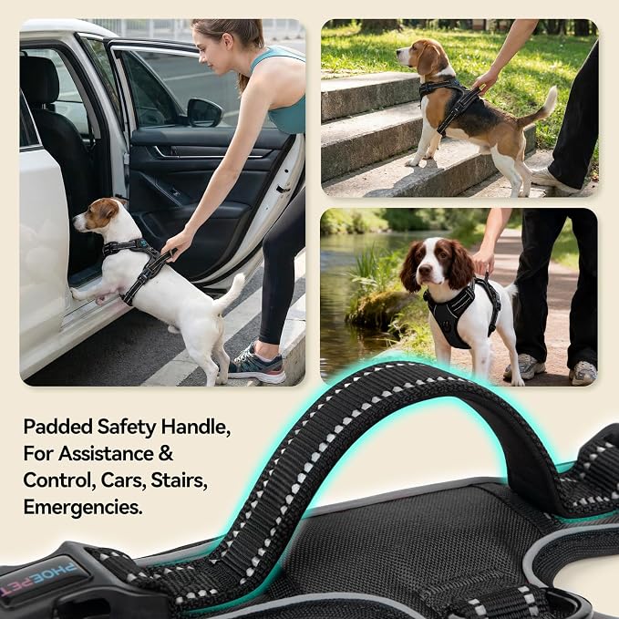 No Pull Dog Harnesses for Small Puppies Reflective Adjustable | Front Clip Vest with 2 Metal Leash Attachment Hooks Soft Handle (S, Black) - Image 4