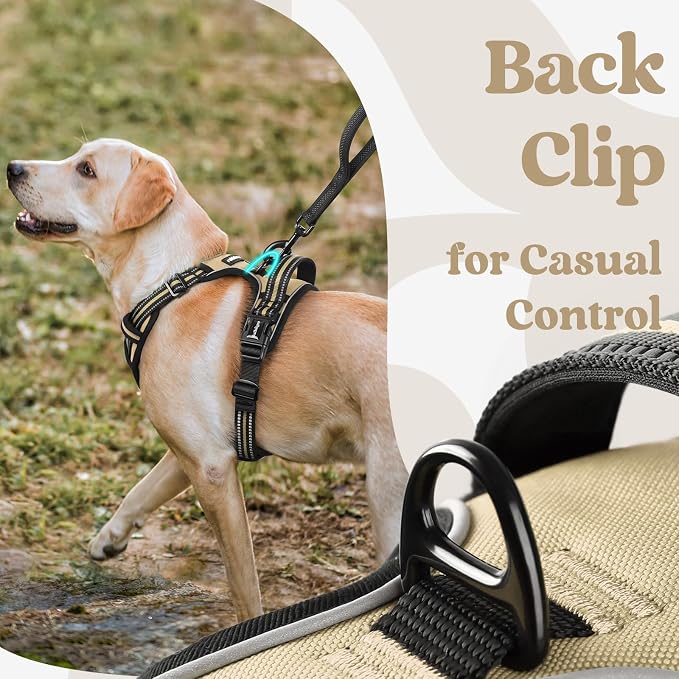 rabbitgoo Dog Harness Small Sized, Updated Easy On & Off with 3 Buckles | No Pull No Choke, Walking with 2 Clips and Handle, Adjustable Soft Reflective, Beige, Small - Image 6