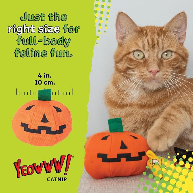Yeowww! Catnip Haloween Pumpkin Catnip Cat Toy - 3 in toy for cats - 100% Stuffed with Premium Organically Grown Catnip, Made in USA - Image 5