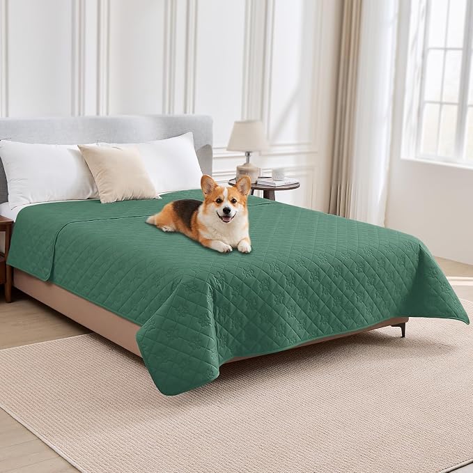 PAWFINITY Waterproof Bed Cover for Dogs, Pet Blanket for Mattress Washable | Paw Print Quilted, Hair Resistant, Anti Cat Scratch, Pee Proof Furniture Protector for Queen Size Bed, 68x82 Inch, Green by Pawfinity