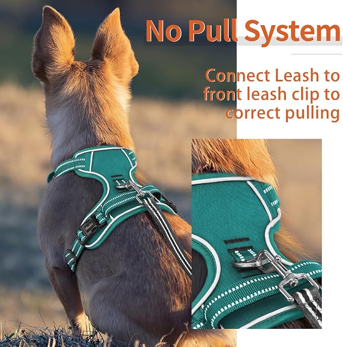 HEELE Dog Harness for Large Dogs No Pull Dog Vest Harness for Large Dog with Soft Padded Handle Reflective for Outdoor Training, Grass Green, XL | Front Clip for Large Dog Harness, 2 Metal Rings with Handle, Adjustable, Soft Breathable Padded Pet Vest ... - Image 5