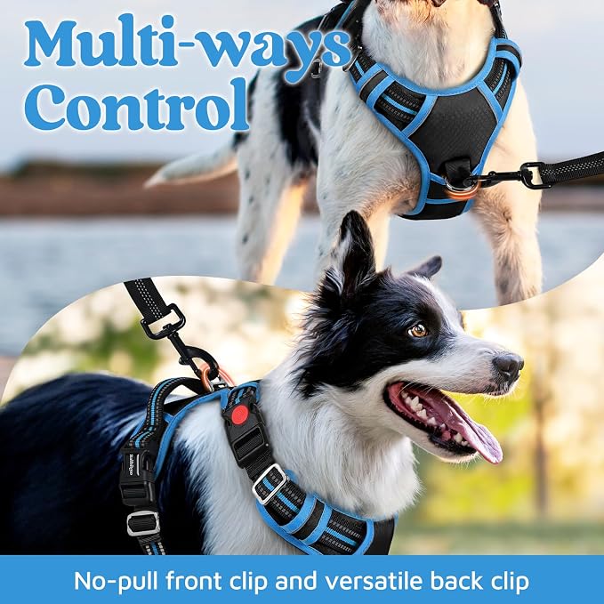 rabbitgoo Dog Harness for Large, No Pull 3 Buckles Easy On & Off | Soft Padded, Walking with Control Handle, Adjustable and Reflective, Black & Blue, Large - Image 3