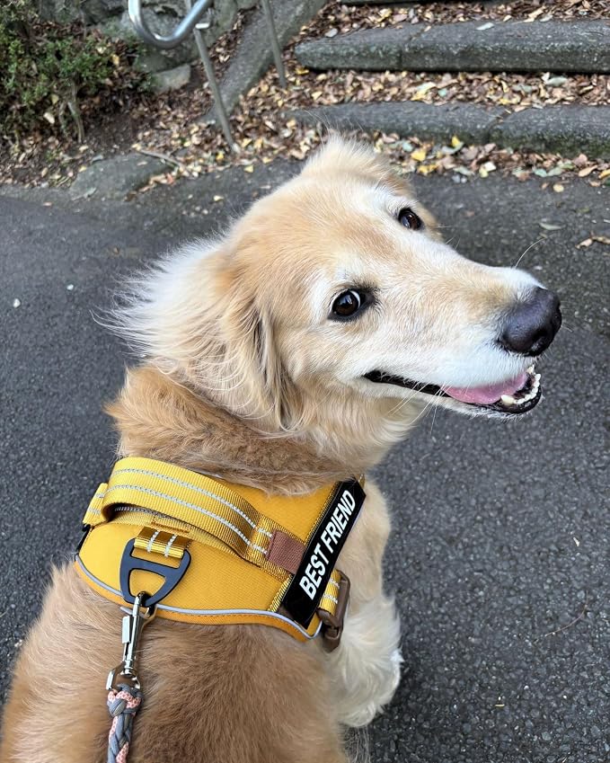 AUROTH Dog Harness and Leash Set for Medium Sized Dog, No Pull Dog Vest | with 5.25FT Dog Leash, Breathable Soft Padded, No choke, Reflective Tactical, Easy to Put on & Take Off - Turmeric Medium - Image 2