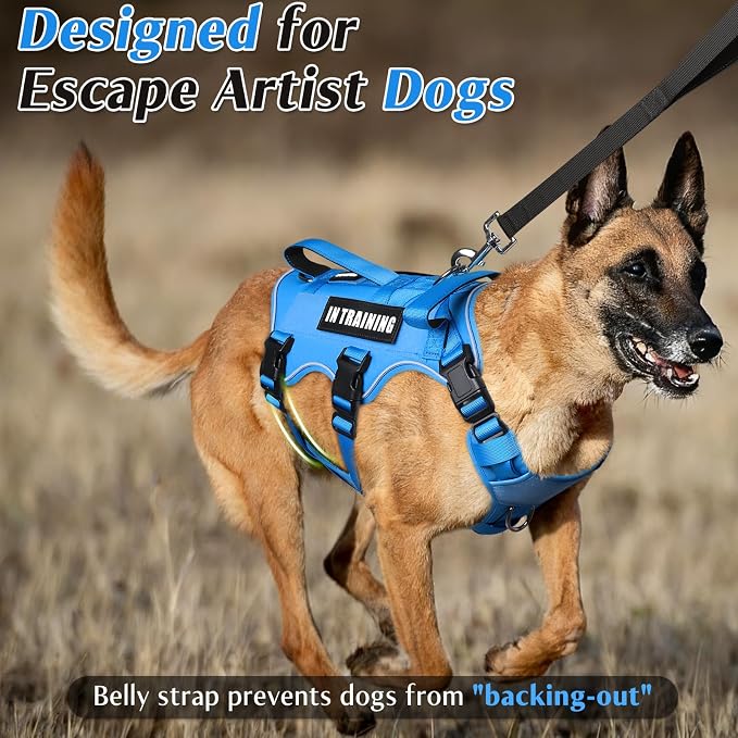 WINSEE Escape Proof Dog Harness with Double Handle+4 Removable Patches | Service Working Molle Harness with Double Handle for Medium Dogs, Tactical Pet Reflective Vest for Walking Hiking Hunting - Image 2