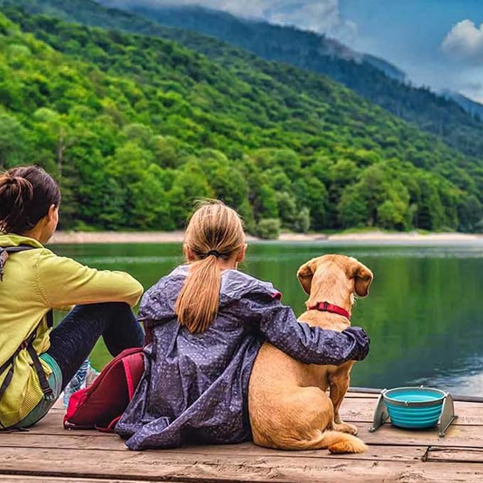 Loving Pets Bella Roma Collapsible Dog Bowls - Silicone Dog Bowls, Foldable Bowl, Puppy Essentials & Hiking Pet Supplies Great for Home & Travel (Blue, Large) - Image 6
