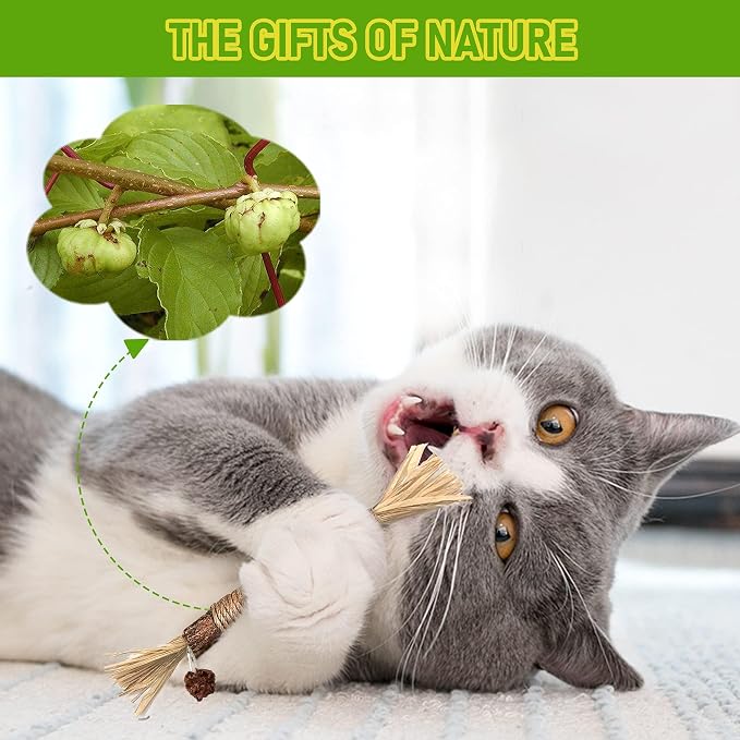 BAWAN Silvervine Sticks Cat Chew Toys for Indoor Cats Dental Care Teeth Cleaning, Natural Kitten & Cat Teething Toys for Health, Cat Chew Stick Suitable for All Breeds of Aggressive Chewers Cat - Image 4