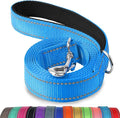 Joytale Reflective Dog Leash for Small Dogs, 4 FT x 3/4", Sky Blue | Heavy Duty Nylon Webbing, Padded Handle for Comfort, Visible at Night, for Walking & Training by Joytale