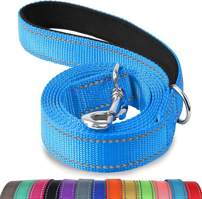 Joytale Reflective Dog Leash for Small Dogs, 4 FT x 3/4", Sky Blue | Heavy Duty Nylon Webbing, Padded Handle for Comfort, Visible at Night, for Walking & Training by Joytale