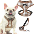 PUPTECK Small Dog Harness and Leash Set No Pull for XS XXS Sized Dogs Puppy | Escape Proof No Choke Pet Cat Adjustable Soft Padded Walking Vest by PUPTECK