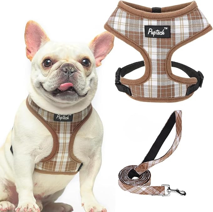 PUPTECK Small Dog Harness and Leash Set No Pull for XS XXS Sized Dogs Puppy | Escape Proof No Choke Pet Cat Adjustable Soft Padded Walking Vest by PUPTECK