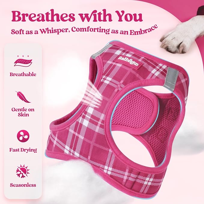 rabbitgoo Dog Harness Small Sized and Leash Set, Step-in Puppy Pet Vest | Light, Soft, Breathable Air Mesh, Easy on and Remove with Hook & Loop, Secure Reflective for Walking, Rose Red Plaid M - Image 4