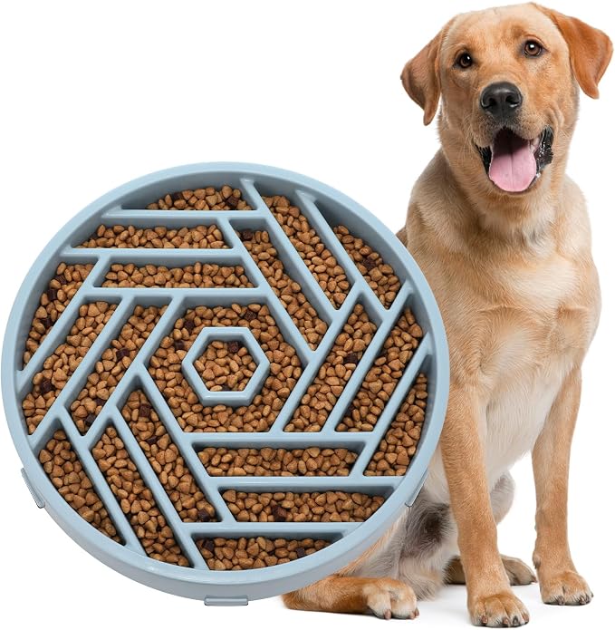 WHIPPY Slow Feeder Dog Bowl, Puzzle Maze Design to Slow Down Eating, 3-Cup Capacity, Anti-Gulping Food Bowl for Medium & Large Dogs,Blue by WHIPPY