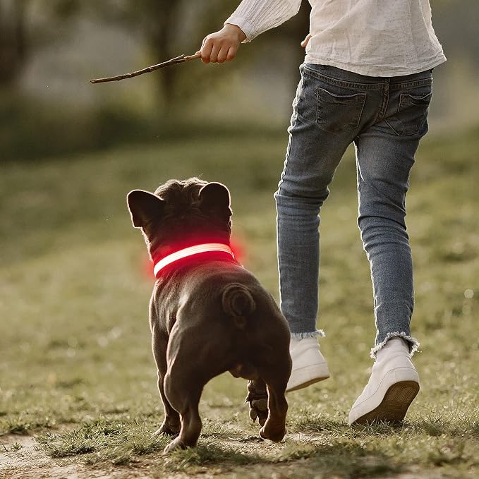 LED Dog Collar, Dog Light Up Collar,for Night Walking (Medium, Pink-2) | Full Adjustable,Waterproof,Nylon,Soft,Super Bright Light Collars for Small Medium and Large Dogs,USB C to Charge - Image 7