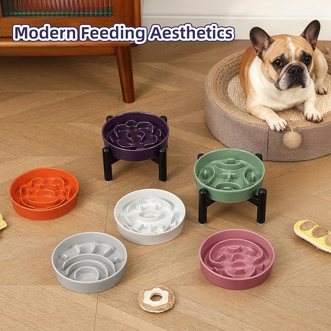 Elevated Slow Feeder Dog Bowl, 0.8 Cups Ceramic Raised Slow Feeder with Stainless Stand, 6.3 Inch Wide Lifted Dog Bowl for Small Breeds to Control Eating Speed, Grey - Image 6