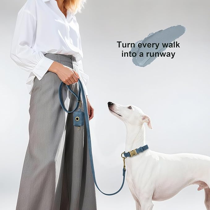 Didog PU Leather Dog Leash for Medium Large Dogs, 3/4in x 5ft, Blue | Soft Grip Full Control, Easy Clean, Metal D-ring for Poop Bag Holder, Tangle-Free 360° Swivel Clasp, for Walking & Training - Image 2