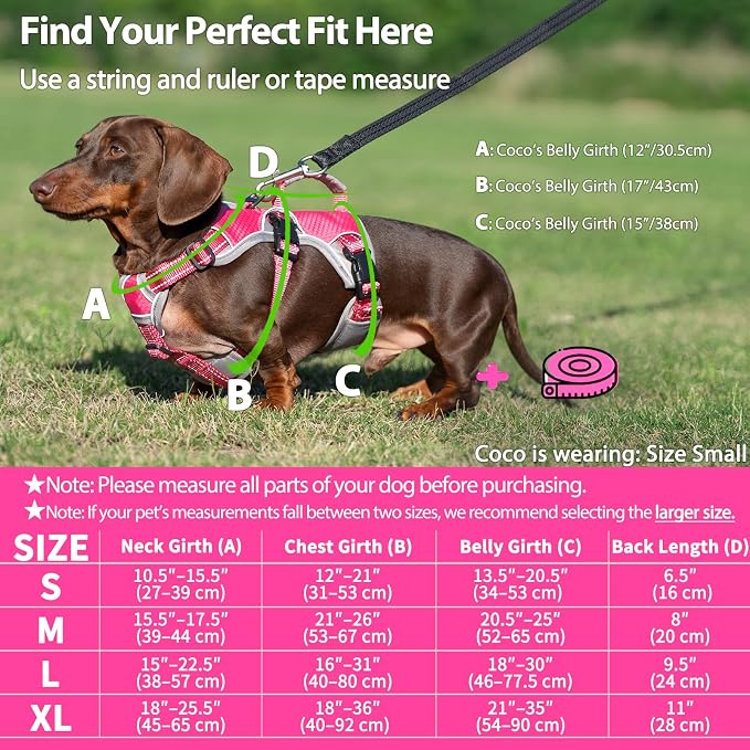 Escape Proof Dog Harness, Dachshund Harness, Reflective Dog Harness with Handle, Durable,Adjustable Vest for Small Medium Large Dogs Walking, Training, and Running Gear (Rose red,S) - Image 6