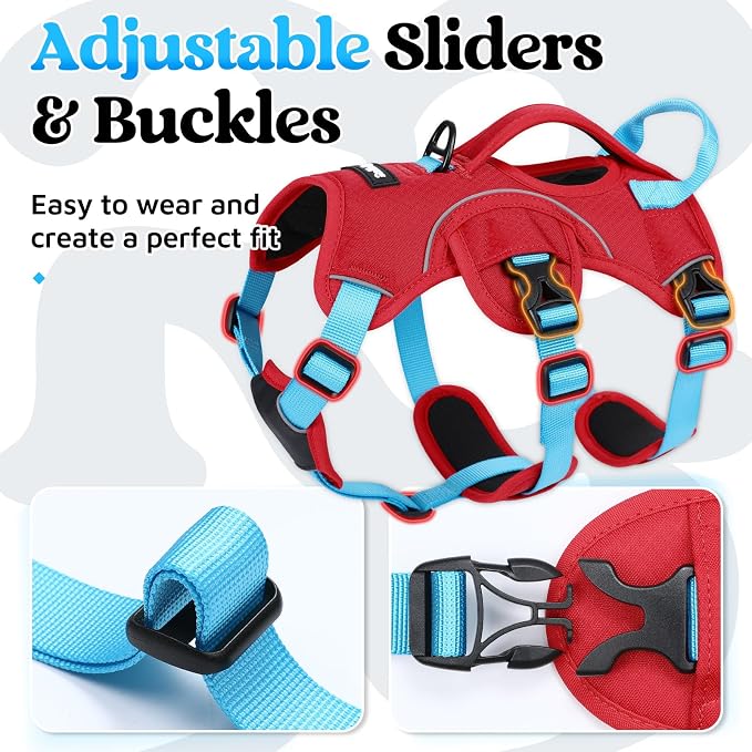 rabbitgoo Escape Proof Dog Harness for Small, No Pull with Lift Handle | No Escape, Full Soft Padded, Reflective Adjustable Vest, Leash Clip for Walking Hiking Training, Sky Blue & Red, Small - Image 7