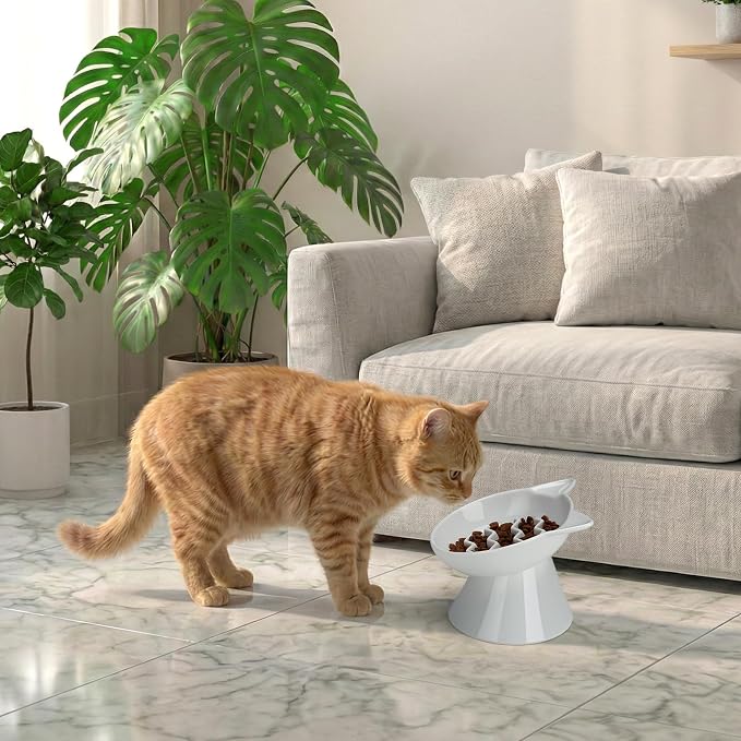 Ceramic Slow Feeder Cat Bowl, 2 Cups Tilted Elevated Honeycomb Food Dish | Premium Ceramic Material, Suitable For Dry And Wet Food, Honeycomb Structure Reduces Vomiting & Bloating For Cats - Image 8
