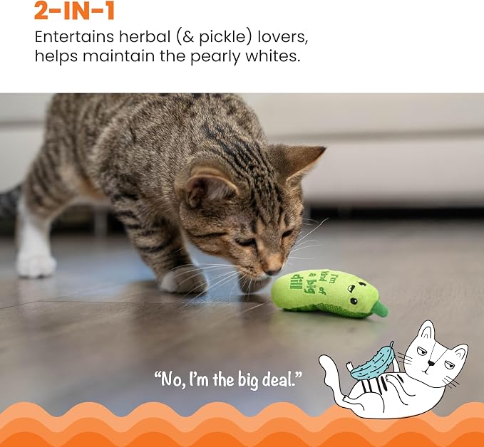 Catstages Crunchy Pickle Kicker Chew Cat Toy, Catnip & Dental Mesh, 6.5" | Crinkle Sounds, Long Plush Body for Bunny Kicking, Helps Keep Teeth Clean & Massages Gums, Indoor Enrichment, Cats & Kittens - Image 3