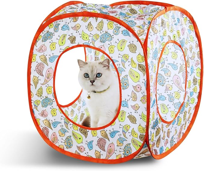 Andiker Cat Tent, 3 Holes Safe and Strong Cute Cats Tunnel Collapsible Easy to Carry Cat House for Indoor Cats Kittens Hiding Playing Training Sleeping (Square Bird) by Andiker-ServingforYou