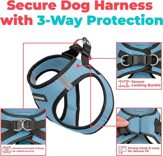 Voyager Step-in Air Dog Vest Harness - Baby Blue/Black Trim, XX-Small | 12 - 13.5" in Chest, Reflective Bands, All Weather Breathable Air Mesh, Cats Compatible, Lightweight, Fast Drying - Image 2