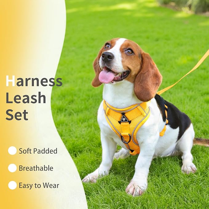 Dog Harness Medium Sized Dog Pet Vest with Leash Set Yellow XL | Adjustable Puppy Vest Harness, No Choke No Pull, Soft Padded, Step-in Dog Vest, Reflective Cat Harness, Breathable Air Mesh - Image 2